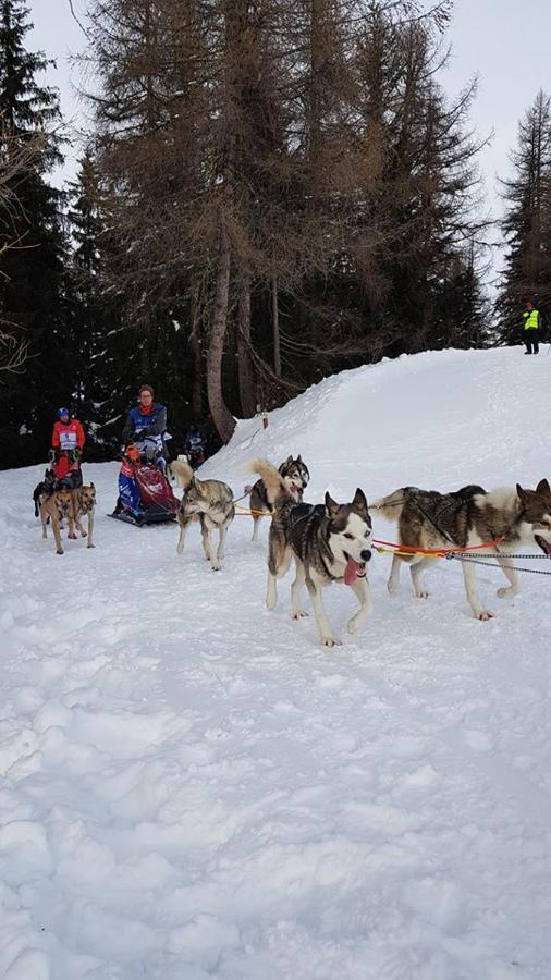 Appart Zig-Zag Les Coches La Plagne Luaran gambar